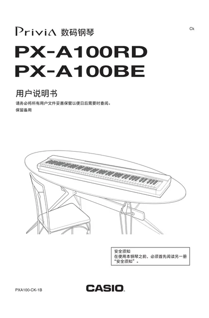 casio 卡西欧 PX-A100RD